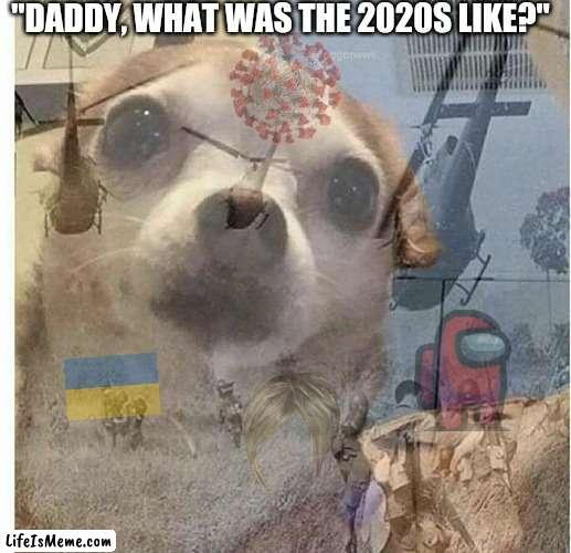 PTSD Chihuahua |  "DADDY, WHAT WAS THE 2020S LIKE?" | image tagged in ptsd chihuahua | made w/ Lifeismeme meme maker