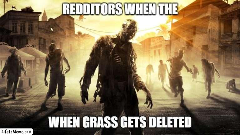 Redditor | REDDITORS WHEN THE; WHEN GRASS GETS DELETED | image tagged in dying light zombie horde,reddit,grass | made w/ Lifeismeme meme maker