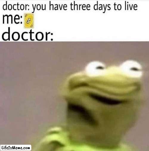 You have 3 days now | ME:; DOCTOR:; DOCTOR: YOU HAVE THREE DAYS TO LIVE | image tagged in meme,funny,kermit the frog,uno reverse card,barney will eat all of your delectable biscuits | made w/ Lifeismeme meme maker