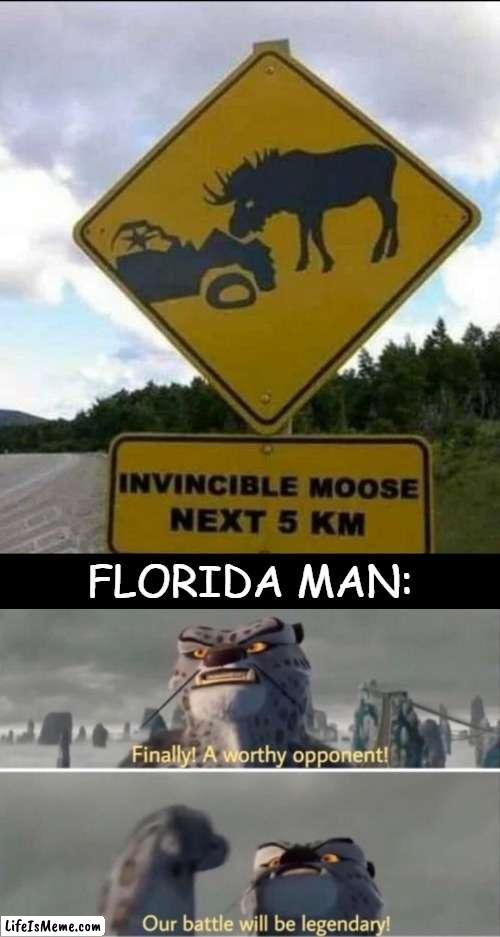 That Moose is in danger | FLORIDA MAN: | image tagged in finally a worthy opponent,moose,florida man,funny,memes | made w/ Lifeismeme meme maker