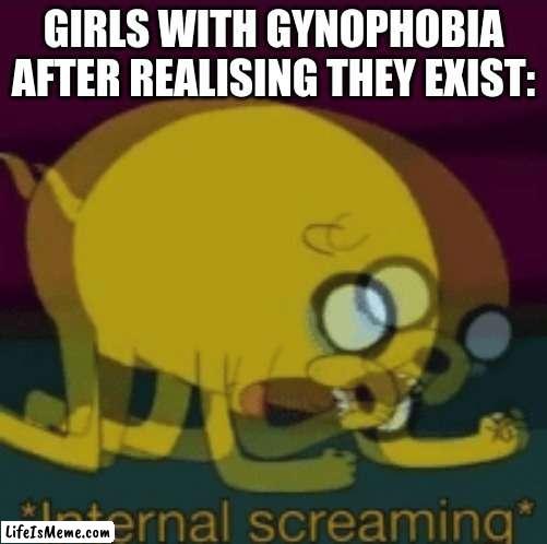 The fear of women | GIRLS WITH GYNOPHOBIA AFTER REALISING THEY EXIST: | image tagged in jake the dog internal screaming,gynophobia,women,meme,scream,internal screaming | made w/ Lifeismeme meme maker