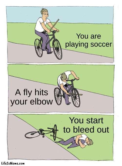This makes sens | You are playing soccer; A fly hits your elbow; You start to bleed out | image tagged in memes,bike fall | made w/ Lifeismeme meme maker