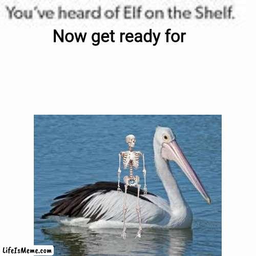 Skeleton with pelican | Now get ready for | image tagged in pelican,skeleton | made w/ Lifeismeme meme maker