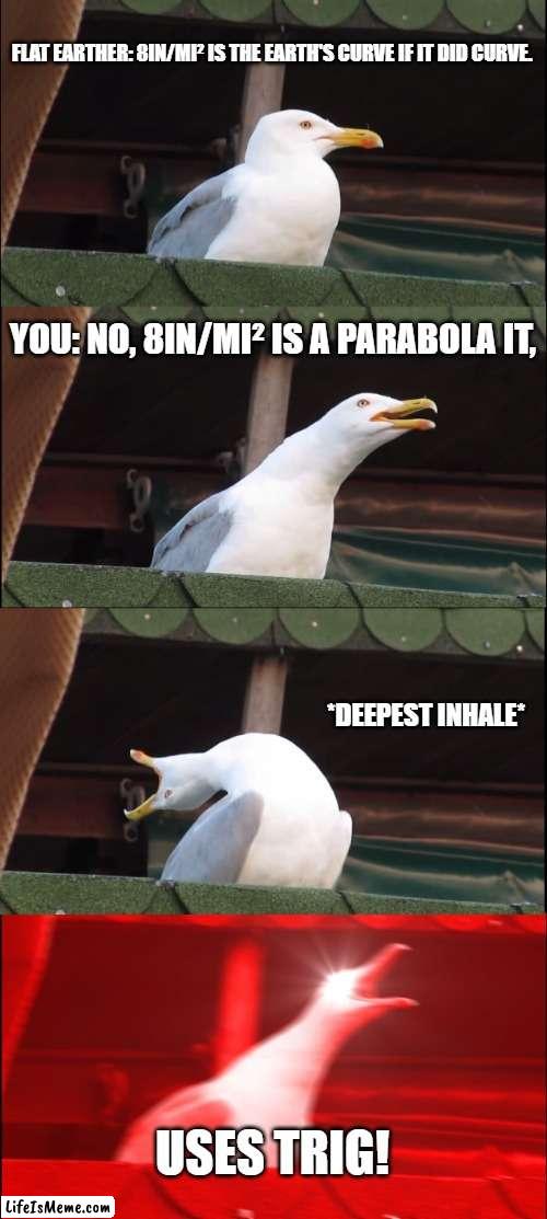 Rounded Earth | FLAT EARTHER: 8IN/MI² IS THE EARTH'S CURVE IF IT DID CURVE. YOU: NO, 8IN/MI² IS A PARABOLA IT, *DEEPEST INHALE*; USES TRIG! | image tagged in memes,inhaling seagull | made w/ Lifeismeme meme maker