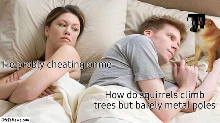 bre | He probly cheating onme; How do squirrels climb trees but barely metal poles | image tagged in memes,i bet he's thinking about other women | made w/ Lifeismeme meme maker