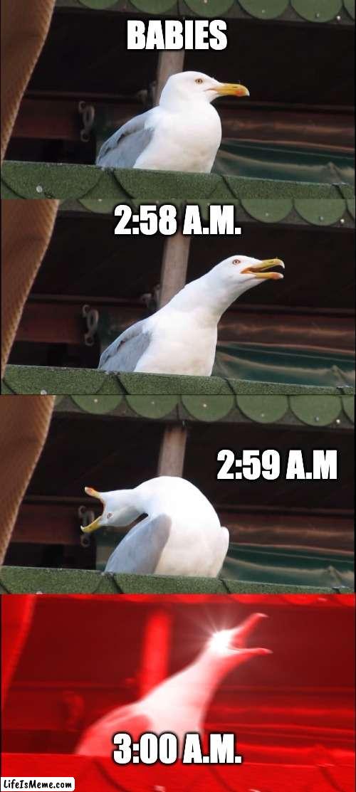 Babies be like | BABIES; 2:58 A.M. 2:59 A.M; 3:00 A.M. | image tagged in memes,inhaling seagull | made w/ Lifeismeme meme maker