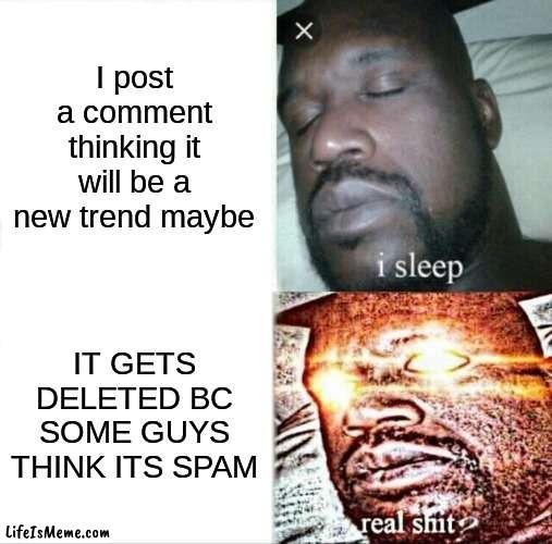 WHY MODERATORS WHYYY | I post a comment thinking it will be a new trend maybe; IT GETS DELETED BC SOME GUYS THINK ITS SPAM | image tagged in memes,sleeping shaq,moderators,fun stream,me and the boys at 3 am | made w/ Lifeismeme meme maker