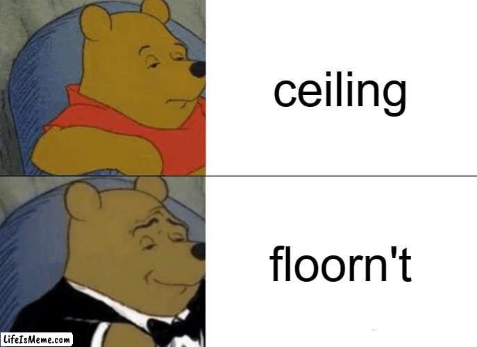 free Kashk | ceiling; floorn't | image tagged in memes,tuxedo winnie the pooh | made w/ Lifeismeme meme maker