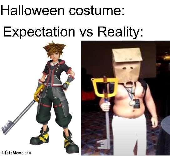 KH Expectation Reality meme | image tagged in kingdom hearts,expectation vs reality,meme | made w/ Lifeismeme meme maker