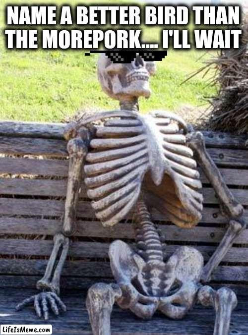 Morepork From NZ Is Waiting | NAME A BETTER BIRD THAN THE MOREPORK.... I'LL WAIT | image tagged in memes,waiting skeleton | made w/ Lifeismeme meme maker