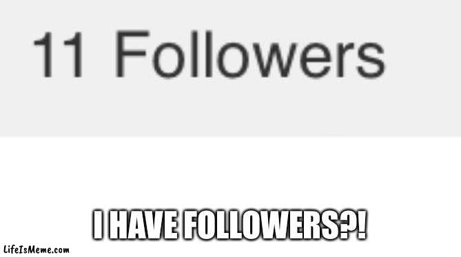 I thought I only had 2 | I HAVE FOLLOWERS?! | image tagged in followers | made w/ Lifeismeme meme maker