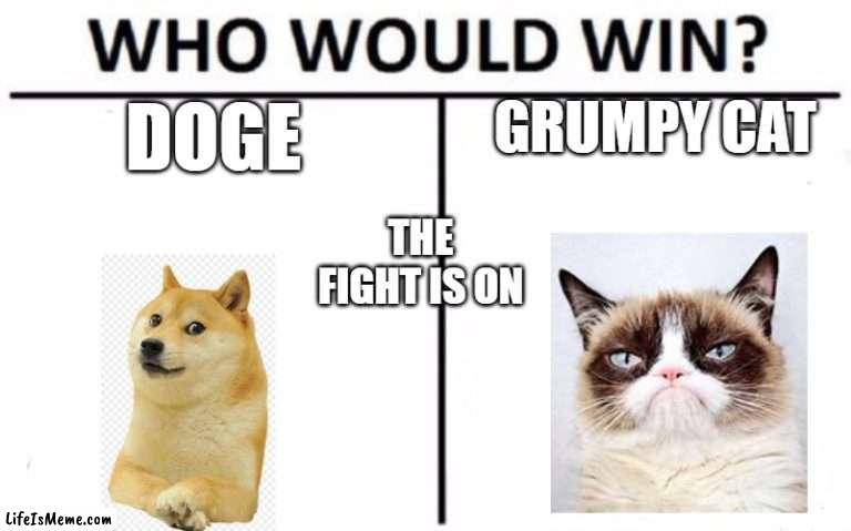 Meme god of dogs Vs Meme god of cats | DOGE; GRUMPY CAT; THE FIGHT IS ON | image tagged in memes,who would win | made w/ Lifeismeme meme maker