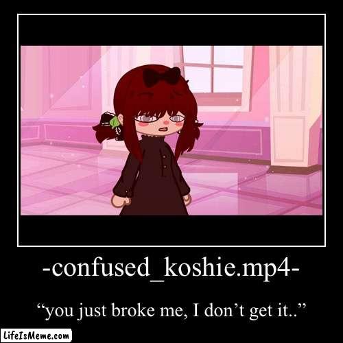 confused koshie.mp4 (credit me if your using this) | image tagged in funny,demotivationals | made w/ Lifeismeme demotivational maker