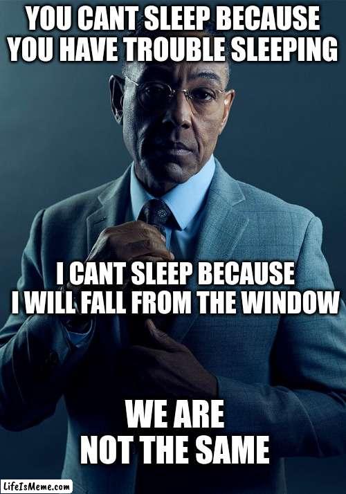 Hol' up | YOU CANT SLEEP BECAUSE YOU HAVE TROUBLE SLEEPING; I CANT SLEEP BECAUSE I WILL FALL FROM THE WINDOW; WE ARE NOT THE SAME | image tagged in gus fring we are not the same | made w/ Lifeismeme meme maker
