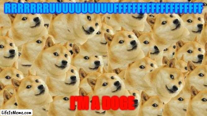 Multi Doge Meme | RRRRRRRUUUUUUUUUUFFFFFFFFFFFFFFFFFFF; I'M A DOGE | image tagged in memes,multi doge | made w/ Lifeismeme meme maker