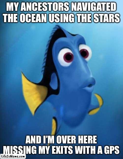 Navigational error | MY ANCESTORS NAVIGATED THE OCEAN USING THE STARS; AND I’M OVER HERE MISSING MY EXITS WITH A GPS | image tagged in dory,gps,lost,navigate,navigation | made w/ Lifeismeme meme maker