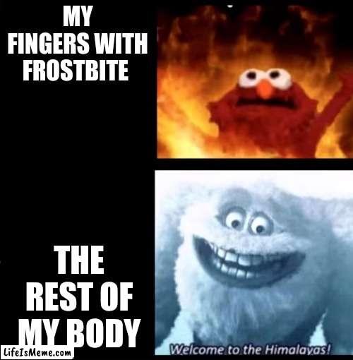 I felt that today | MY FINGERS WITH FROSTBITE; THE REST OF MY BODY | image tagged in hot and cold | made w/ Lifeismeme meme maker