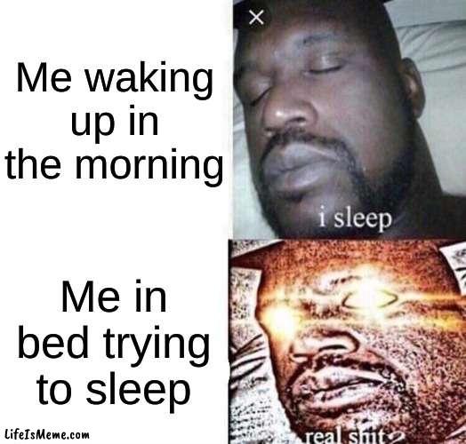average insomniac moment | Me waking up in the morning; Me in bed trying to sleep | image tagged in i sleep real shit | made w/ Lifeismeme meme maker