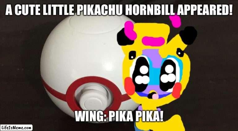 Max raid Cutie!!!! | A CUTE LITTLE PIKACHU HORNBILL APPEARED! WING: PIKA PIKA! | image tagged in pokeball plus,max,pokemon,chuck chicken | made w/ Lifeismeme meme maker