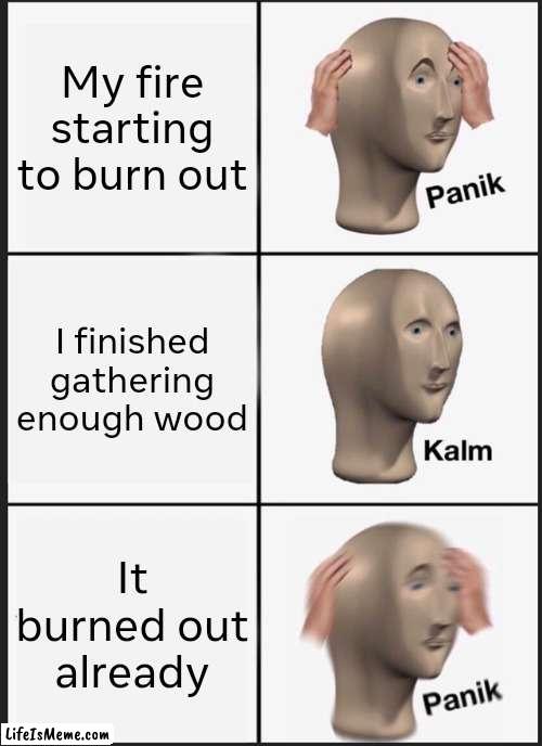 Keep it burning! | My fire starting to burn out; I finished gathering enough wood; It burned out already | image tagged in memes,panik kalm panik | made w/ Lifeismeme meme maker