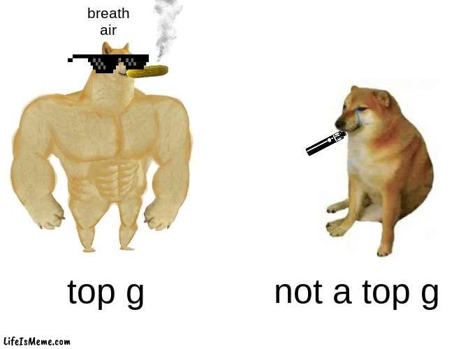 bretajsdnf | breath
air; top g; not a top g | image tagged in memes,buff doge vs cheems | made w/ Lifeismeme meme maker