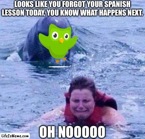 Looks Like you Forgot your Spanish Lesson Today! | LOOKS LIKE YOU FORGOT YOUR SPANISH LESSON TODAY, YOU KNOW WHAT HAPPENS NEXT. OH NOOOOO | image tagged in dangerous dolphin,memes,duolingo bird,duolingo,your gonna learn today,funny | made w/ Lifeismeme meme maker