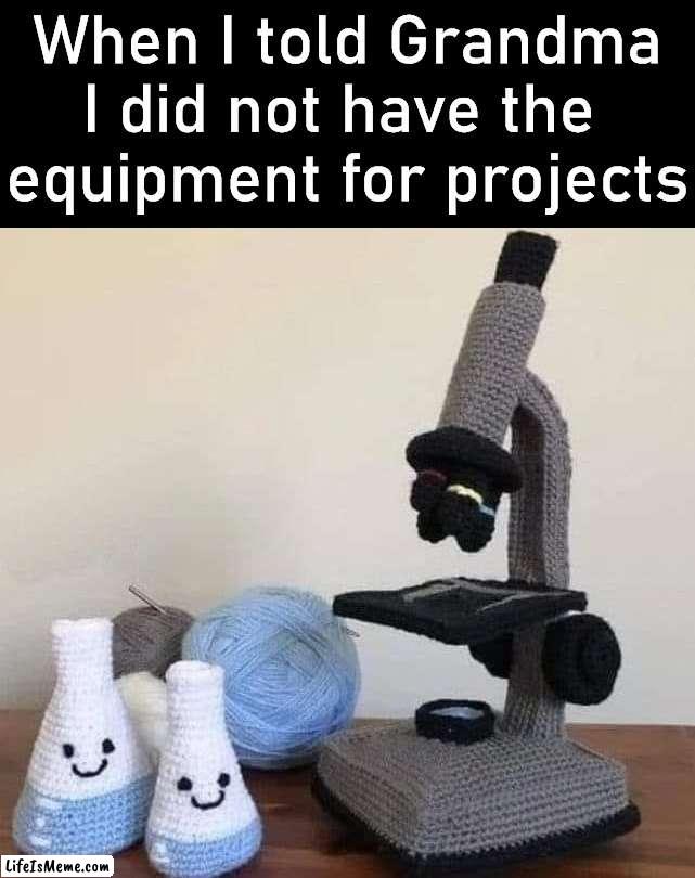 It actually worked for me | When I told Grandma I did not have the 
equipment for projects | image tagged in grandma,group projects,school,science,knitting | made w/ Lifeismeme meme maker