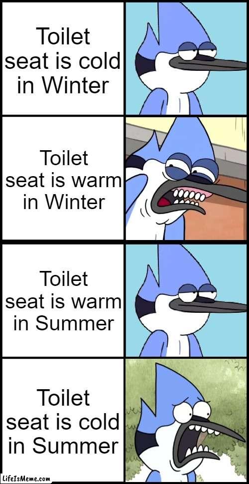 Who else could relate? | Toilet seat is cold in Winter; Toilet seat is warm in Winter; Toilet seat is warm in Summer; Toilet seat is cold in Summer | image tagged in mordecai disgusted,toilet seat,funny,relatable | made w/ Lifeismeme meme maker