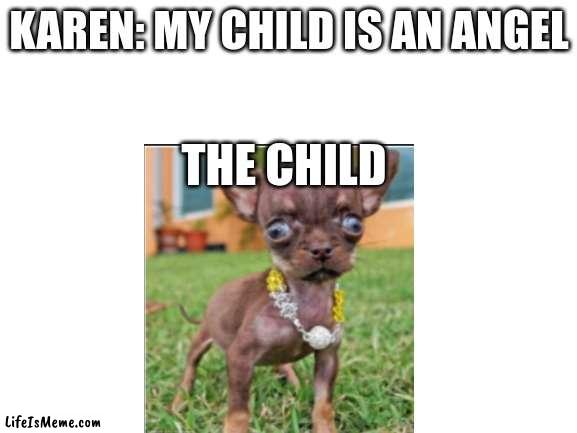 how true | KAREN: MY CHILD IS AN ANGEL; THE CHILD | image tagged in blank white template,funny,meme,dog,karen | made w/ Lifeismeme meme maker