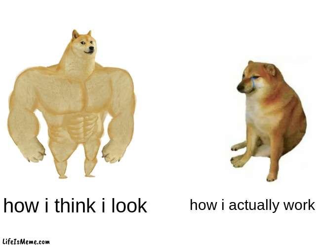 snap back to reality | how i think i look; how i actually work | image tagged in memes,buff doge vs cheems | made w/ Lifeismeme meme maker