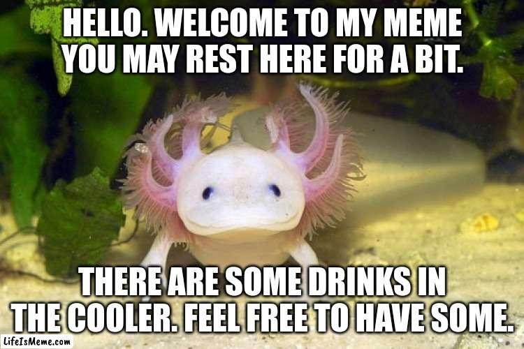 rest point | HELLO. WELCOME TO MY MEME YOU MAY REST HERE FOR A BIT. THERE ARE SOME DRINKS IN THE COOLER. FEEL FREE TO HAVE SOME. | image tagged in axolotl | made w/ Lifeismeme meme maker