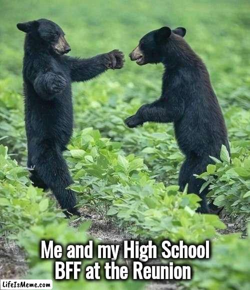 He made school bearable | Me and my High School
BFF at the Reunion | image tagged in da bears,best friends,hello my name is,we bare bears,right to bear arms | made w/ Lifeismeme meme maker