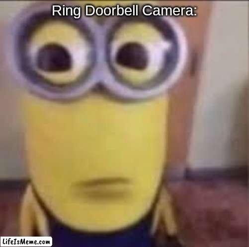 Ring Doorbell | Ring Doorbell Camera: | image tagged in minions,goofy ahh,balls | made w/ Lifeismeme meme maker