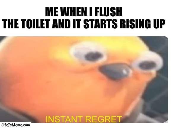 NOT AT A FRIENDS HOUSE | ME WHEN I FLUSH THE TOILET AND IT STARTS RISING UP; INSTANT REGRET | image tagged in toliet,regret,instant regret,dont | made w/ Lifeismeme meme maker