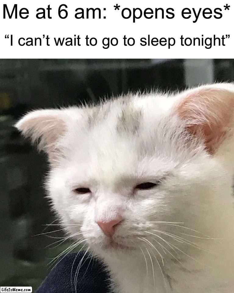I wanna sleep | Me at 6 am: *opens eyes*; “I can’t wait to go to sleep tonight” | image tagged in i'm awake but at what cost,memes,funny,sleep,relatable memes,true story | made w/ Lifeismeme meme maker