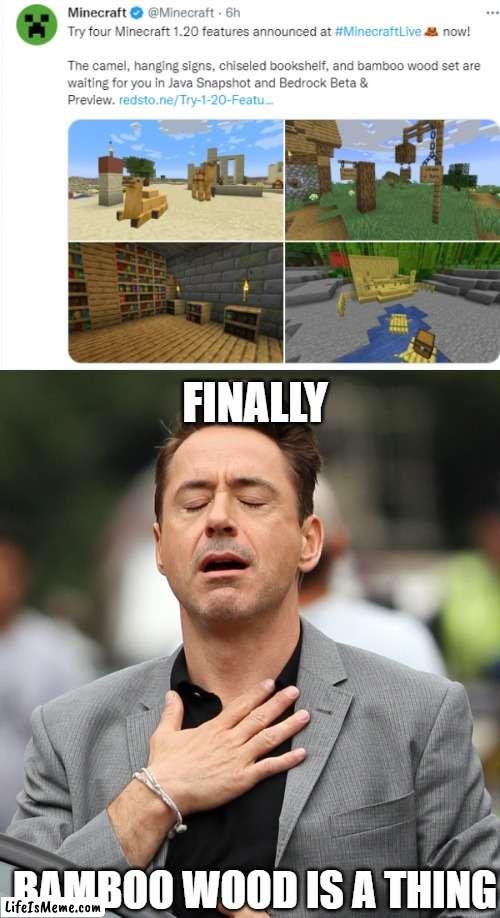Admit it, bamboo has been practically useless except for sticks/fuel | FINALLY; BAMBOO WOOD IS A THING | image tagged in relieved rdj,minecraft bamboo,finally | made w/ Lifeismeme meme maker