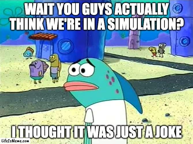 Do people actually believe this? | WAIT YOU GUYS ACTUALLY THINK WE'RE IN A SIMULATION? I THOUGHT IT WAS JUST A JOKE | image tagged in spongebob i thought it was a joke,spongebob,simulation,the matrix,conspiracy theory | made w/ Lifeismeme meme maker