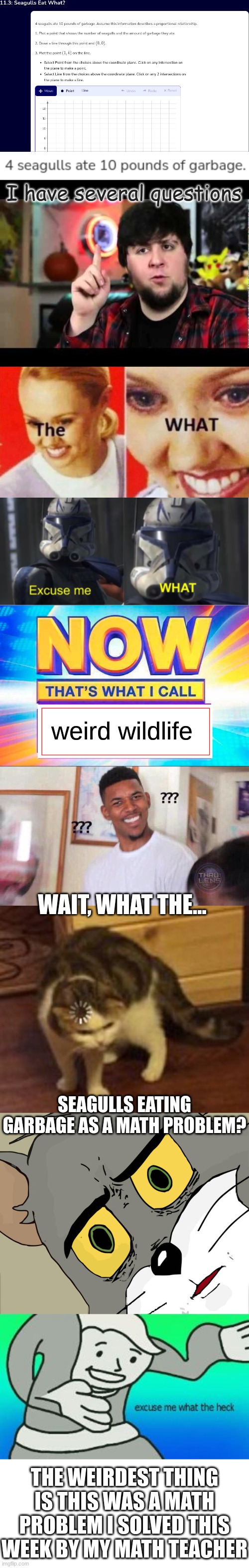 This was a math problem I had this week... | I have several questions; weird wildlife; WAIT, WHAT THE... SEAGULLS EATING GARBAGE AS A MATH PROBLEM? THE WEIRDEST THING IS THIS WAS A MATH PROBLEM I SOLVED THIS WEEK BY MY MATH TEACHER | image tagged in jontron i have several questions,the what,ct-7567 excuse me what,now that s what i call,black guy confused,loading cat | made w/ Lifeismeme meme maker