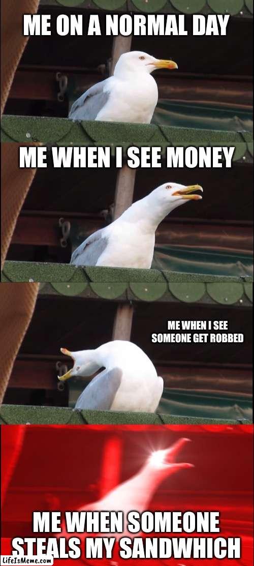 MY SANDWHICH | ME ON A NORMAL DAY; ME WHEN I SEE MONEY; ME WHEN I SEE SOMEONE GET ROBBED; ME WHEN SOMEONE STEALS MY SANDWHICH | image tagged in memes,inhaling seagull | made w/ Lifeismeme meme maker