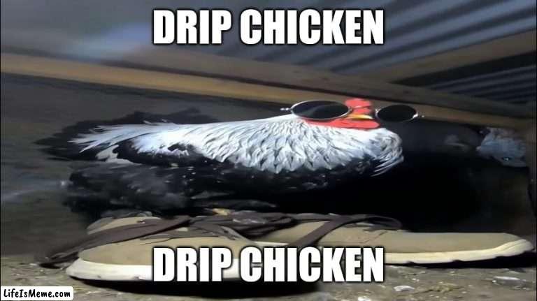 The Chicken be Drippin | DRIP CHICKEN; DRIP CHICKEN | image tagged in cold,meme | made w/ Lifeismeme meme maker