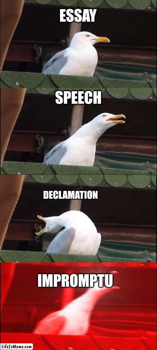 Made by Jordana Mil M. Paguirigan | ESSAY; SPEECH; DECLAMATION; IMPROMPTU | image tagged in memes,inhaling seagull | made w/ Lifeismeme meme maker