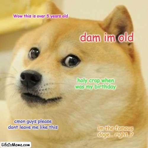 doge ;( | Wow this is over 5 years old; dam im old; holy crap when was my birthday; cmon guys please dont leave me like this; im the famous doge... right..? | image tagged in memes,doge | made w/ Lifeismeme meme maker