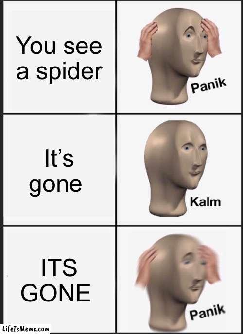 REVENGE OF THE SPIDERS | You see a spider; It’s gone; ITS GONE | image tagged in memes,panik kalm panik | made w/ Lifeismeme meme maker