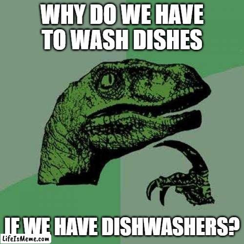 Dishwashoraptor | WHY DO WE HAVE TO WASH DISHES; IF WE HAVE DISHWASHERS? | image tagged in memes,philosoraptor | made w/ Lifeismeme meme maker