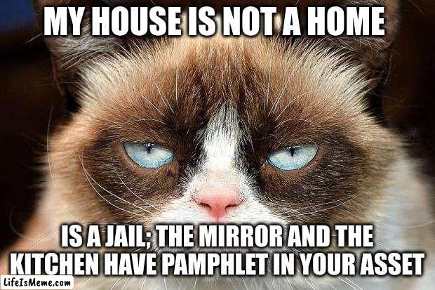 Jail | MY HOUSE IS NOT A HOME; IS A JAIL; THE MIRROR AND THE KITCHEN HAVE PAMPHLET IN YOUR ASSET | image tagged in memes,grumpy cat not amused,grumpy cat | made w/ Lifeismeme meme maker