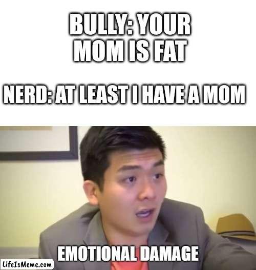 ._____. | BULLY: YOUR MOM IS FAT; NERD: AT LEAST I HAVE A MOM | image tagged in emotions,emotional damage,roasted,bully,nerd | made w/ Lifeismeme meme maker