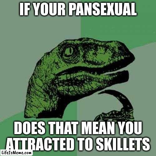 not homophobic | IF YOUR PANSEXUAL; DOES THAT MEAN YOU ATTRACTED TO SKILLETS | image tagged in memes,philosoraptor | made w/ Lifeismeme meme maker