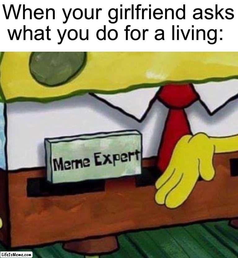 This will be me when I get a girlfriend | When your girlfriend asks what you do for a living: | image tagged in memes,funny,memers,spongebob,professional,job | made w/ Lifeismeme meme maker