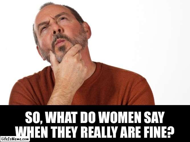 Fine | SO, WHAT DO WOMEN SAY WHEN THEY REALLY ARE FINE? | image tagged in hmmm | made w/ Lifeismeme meme maker