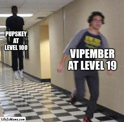Doodle world be like: | PUPSKEY AT LEVEL 100; VIPEMBER AT LEVEL 19 | image tagged in floating boy chasing running boy | made w/ Lifeismeme meme maker